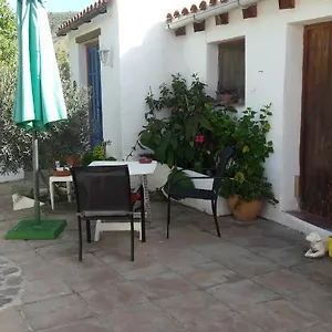 Casa Patricia Málaga